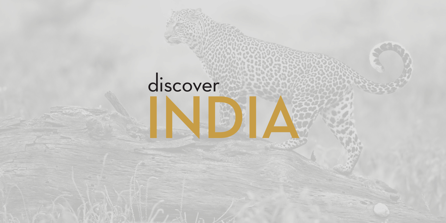 DiscoverIndia