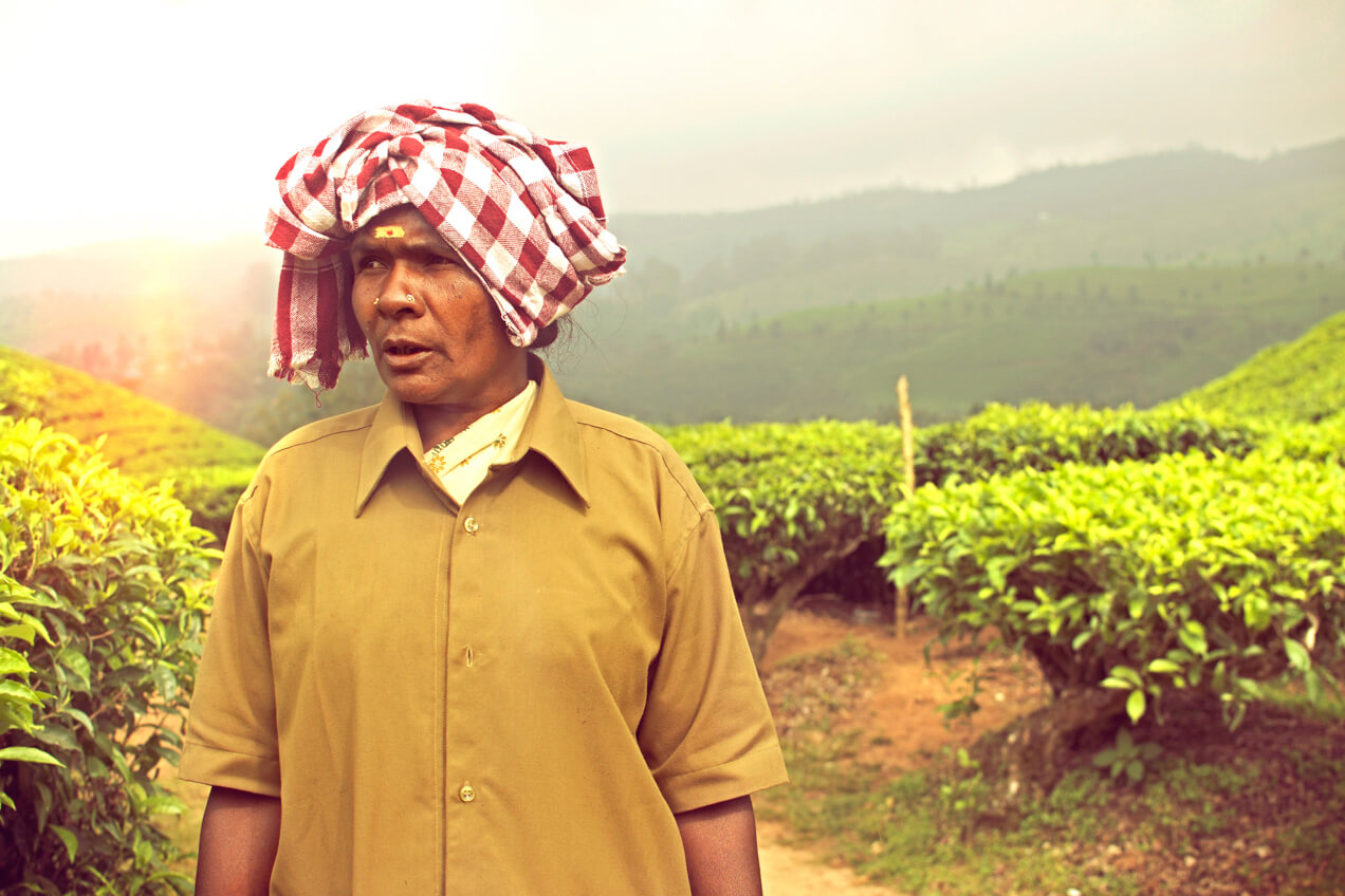 Kerala (2015)