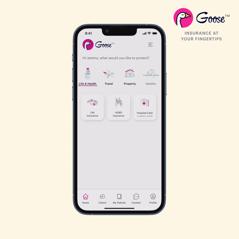 Goose User FLow