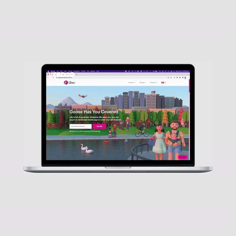 Goose Website Demo
