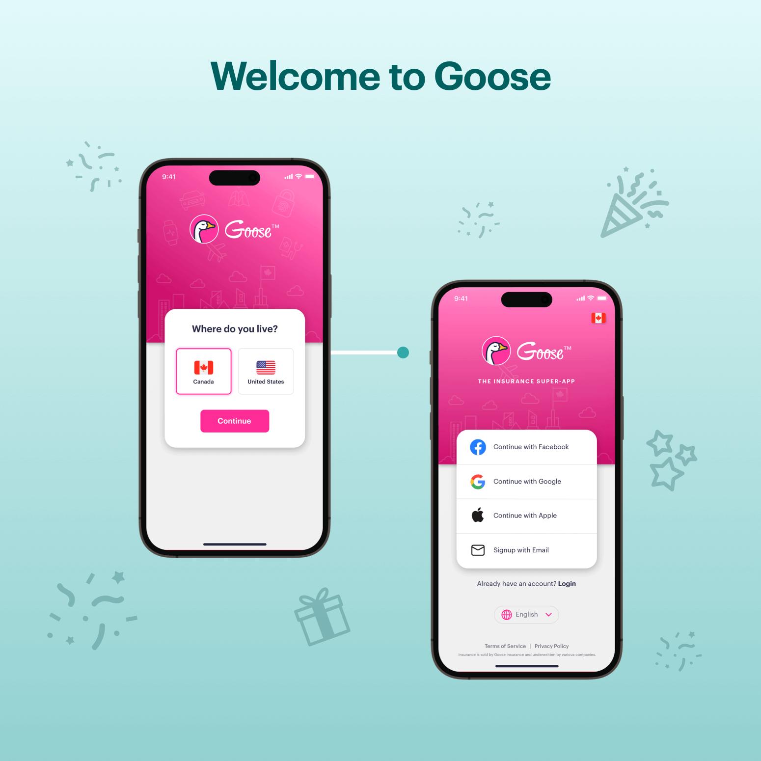 Welcome to Goose 1